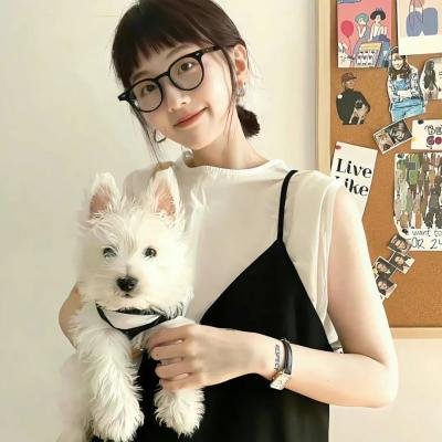 国际桥牌社 第二季